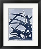 Framed Plant Life II