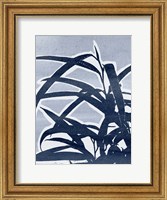 Framed Plant Life II