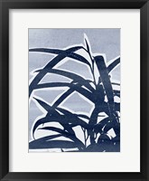 Plant Life II Framed Print