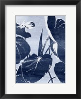 Plant Life III Framed Print