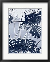 Framed Plant Life IV