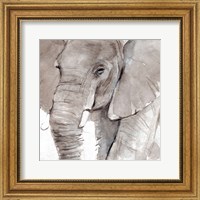 Framed Elephant Grooves I