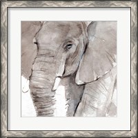 Framed Elephant Grooves I