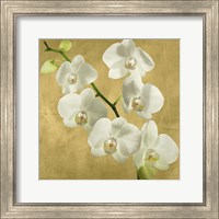 Framed 'Orchids on a Golden Background I' border=