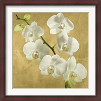 Framed Orchids on a Golden Background I