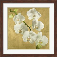 Framed Orchids on a Golden Background I