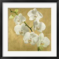 Framed 'Orchids on a Golden Background I' border=