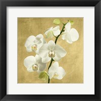 Framed Orchids on a Golden Background II