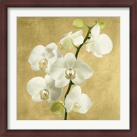 Framed Orchids on a Golden Background II