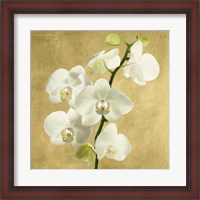 Framed Orchids on a Golden Background II