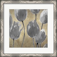 Framed 'Grey Tulips I' border=