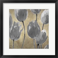 Framed 'Grey Tulips I' border=