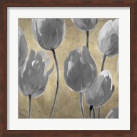 Framed Grey Tulips I