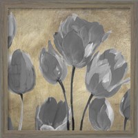 Framed 'Grey Tulips II' border=