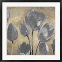 Framed Grey Tulips II