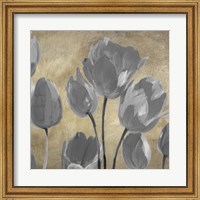 Framed 'Grey Tulips II' border=