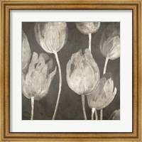 Framed Washed Tulips I