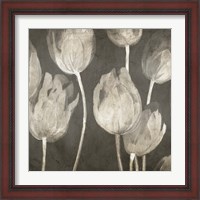 Framed 'Washed Tulips I' border=