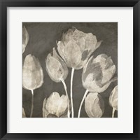 Framed 'Washed Tulips II' border=