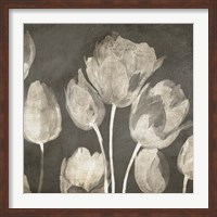 Framed Washed Tulips II