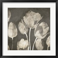 Framed Washed Tulips II