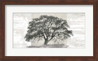 Framed Ash Tree Panel