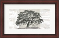 Framed Ash Tree Panel