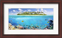Framed Coral Reef
