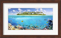 Framed Coral Reef
