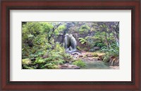 Framed Rainforest waterfall