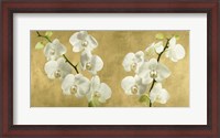 Framed Orchids on a Golden Background