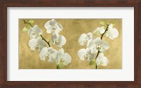 Framed Orchids on a Golden Background