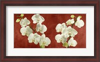 Framed Orchids on Red Background