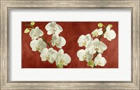 Framed Orchids on Red Background