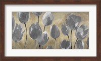 Framed Grey Tulips