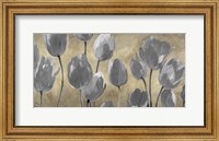 Framed Grey Tulips