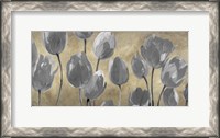 Framed Grey Tulips