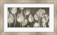 Framed Washed Tulips