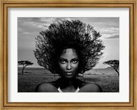Framed Serengeti Queen