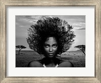 Framed Serengeti Queen