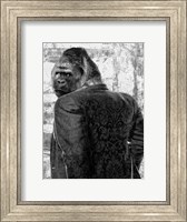 Framed Ape in a Suit