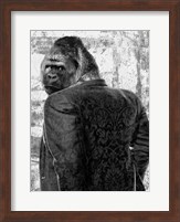 Framed Ape in a Suit