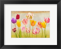 Framed Tulipani d'estate