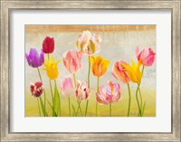 Framed Tulipani d'estate