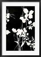 Framed Silhouette Leaves 1