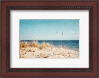 Framed Beach & Gulls