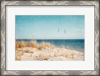 Framed Beach & Gulls