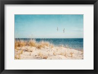 Framed Beach & Gulls