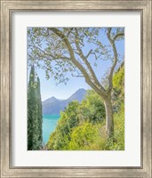 Framed Lago di Como View No. 2