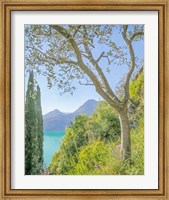 Framed Lago di Como View No. 2